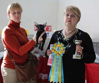 �������� ����� 11-12 ������ 2015 WCF-����� 3-205-169A5458 copy.jpg